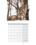 Календар Ackermann - Wild Animals of Germany, 2024 - 2t