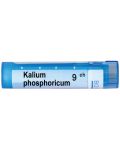 Kalium phosphoricum 9CH, Boiron - 1t