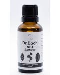 Dr. Bach Капки Детокс, 30 ml, Jo & Jo - 1t