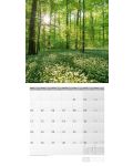 Календар Ackermann - Mystic Forest, 2024 - 4t