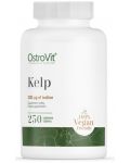Kelp, 250 таблетки, OstroVit - 1t