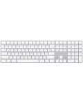 Клавиатура Apple - Magic Keyboard, с цифри, US, сребриста - 1t