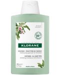 Klorane Almond Шампоан, 200 ml - 1t