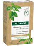 Klorane Nettle 2 в 1 Прахообразна маска-шампоан, 8 x 3 g - 1t