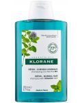 Klorane Mint Детоксикиращ шампоан, 200 ml - 1t