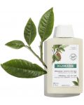 Klorane Cupuacu Възстановяващ шампоан, 200 ml - 3t