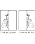 Книжка за рисуване и оцветяване Mudpuppy Double Draw - Невероятни насекоми - 2t