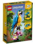 Конструктор  3 в 1 LEGO Creator - Екзотичен папагал (31136) - 1t