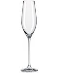 Комплект чаши за шампанско Rona - Celebration 6272, 6 броя x 210 ml - 1t