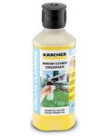 Концентрат за стъкло и прозорци Karcher - RM 503, 0.5 l - 1t