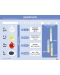 Комплект табла по химия и опазване на околната среда за 7. клас: Метали, неметали, алкална група, основи и киселини. Учебна програма 2024/2025 (Клет) - 3t