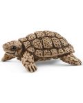 Комплект фигурки Schleich Wild Life - Дом на костенурки - 4t