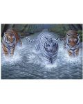 Комплект за рисуване с акрилни бои Royal - Тигри, 39 х 30 cm - 1t
