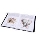 Колекция „Атлас по анатомия на човека“ - 4t