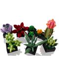 Конструктор LEGO Icons Botanical - Сукуленти (10309) - 3t