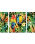 Комплект за рисуване по номера Schipper - Папагали в дъждовната гора - 2t