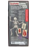 Комплект печати Kikkerland - Анатомия на човешкото тяло - 5t