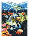 Комплект за рисуване с акрилни бои върху платно Royal - Океански дълбини, 23 х 30 cm - 1t