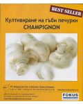 Култивиране на гъби печурки Champignon (CD) - 1t