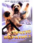 Кучето каратист (DVD) - 1t