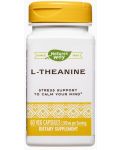 L-Theanine, 60 капсули, Nature’s Way - 1t