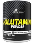 L-Glutamine Powder, 250 g, Olimp - 1t