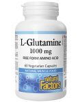 L-Glutamine, 1000 mg, 60 капсули, Natural Factors - 1t