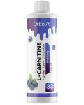 L-Carnitine + Green Tea + Chromium, синя боровинка, 500 ml, OstroVit - 1t