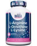 L-Arginine L-Ornithine L-Lysine, 100 капсули, Haya Labs - 1t