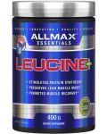 Leucine+, 400 g, AllMax Nutrition - 1t