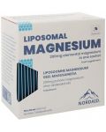 Liposomal Magnesium, 200 mg, манго, 30 сашета х 10 ml, Nordaid - 1t