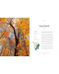 Lonely Planet: The Tree Atlas - 6t