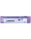 Luesinum CH30, Boiron - 1t