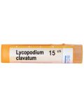 Lycopodium clavatum 15CH, Boiron - 1t