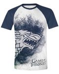 Тениска Game of Thrones - Painted Stark Raglan - 1t