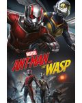 Макси плакат - Ant-Man and The Wasp (Dynamic) - 1t