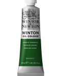 Маслена боя Winsor & Newton Winton - Хром-оксидна зелена, 37 ml - 1t