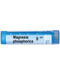 Magnesia phosphorica 9CH, Boiron - 1t