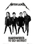 Макси плакат Pyramid - Metallica (Hardwired Band) - 1t