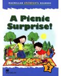 Macmillan Children's Readers: Picnic Surprise (ниво level 2) - 1t