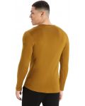 Мъжка блуза Icebreaker - Merino 260 Tech LS Crewe Thermal Top , кафява - 3t