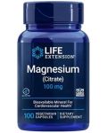 Magnesium, 100 mg, 100 капсули, Life Extension - 1t