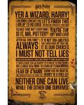 Макси плакат GB eye Movies: Harry Potter - Quotes - 1t