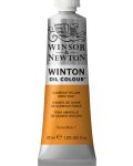 Маслена боя Winsor & Newton Winton - Кадмиева жълта тъмна, 37 ml - 1t