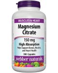 Magnesium Citrate, 150 mg, 300 капсули, Webber Naturals - 1t