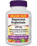 Magnesium Bisglycinate, 200 mg, 120 капсули, Webber Naturals - 1t