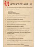 Макси плакат Pyramid - Instructions for lIfe (Dalai Lama) - 1t