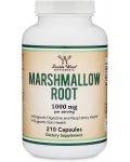 Marshmallow Root, 210 капсули, Double Wood - 1t