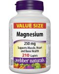 Magnesium, 250 mg, 210 каплети, Webber Naturals - 1t