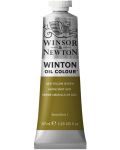 Маслена боя Winsor & Newton Winton - Жълто зелена, 37 ml - 1t